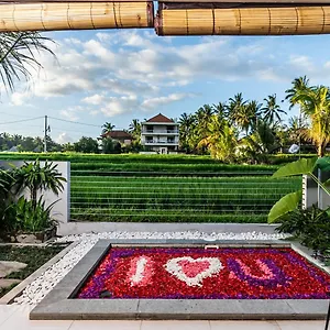 *** Bed & Breakfast Putih Dcarik Indonesia
